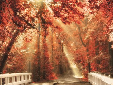 Lars Van de Goor - Red for Rest