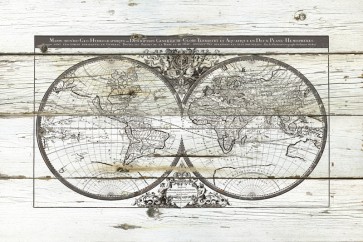 Carol Robinson - World Map Hemispheres