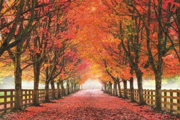 Aaron Reed - North Bend Trees