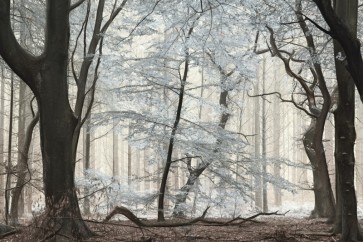 Lars Van de Goor - Silverwood