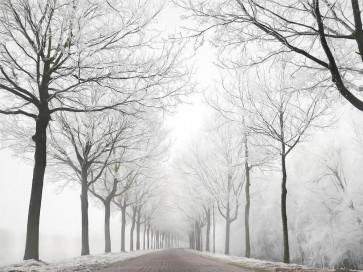 Lars Van de Goor - The Last Winter