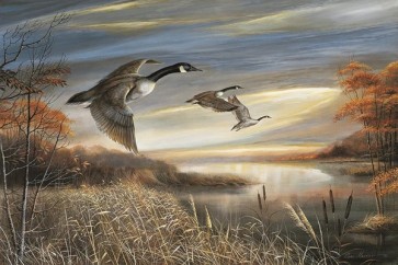 Ruane Manning - Migration South 