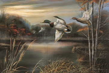 Ruane Manning - Morning Call 