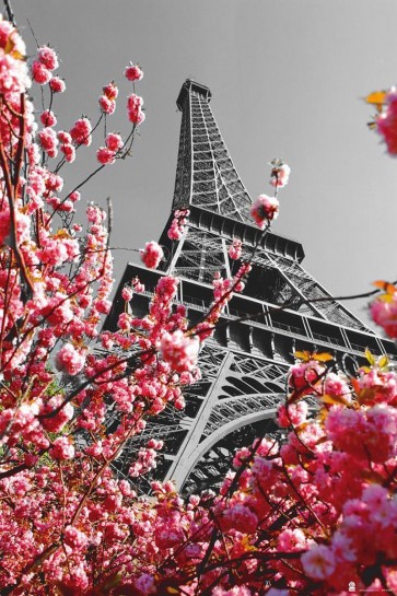 Paris - Eiffel Tower