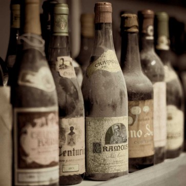 Alan Blaustein - Enoteca Cortona - 2