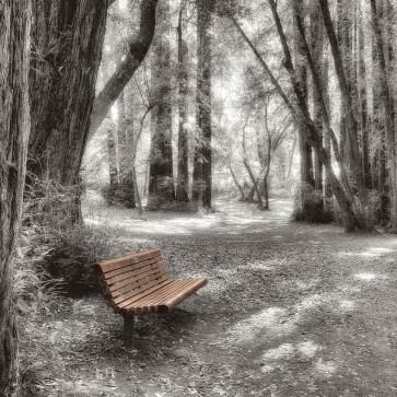 Alan Blaustein - Old Mill Park
