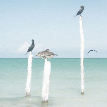 Noah Bay - Sentries