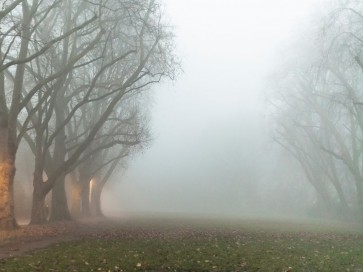 Kent Burkhardsmeier - Intriguing Beginnings