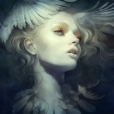 Anna Dittman - Fly