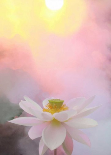 Bahman Farzad - Beauty at Dawn