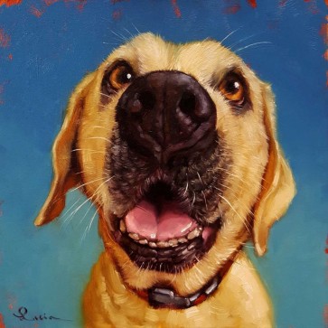 Lucia Heffernan - Follow Your Nose 2