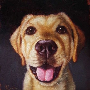 Lucia Heffernan - Follow Your Nose 13