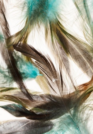 Incado - Floating Feathers