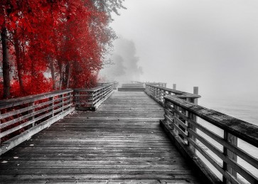 Vladimir Kostka - Fall Walkway