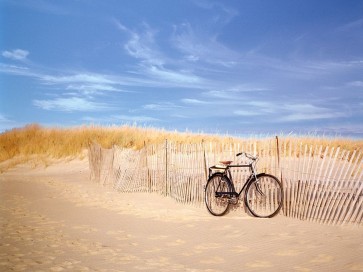 Alan Klug - Cape Cod