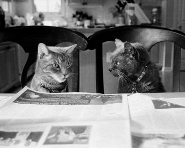 Kim Levin - Not While Im Reading