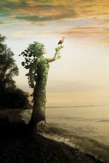 Jeff Madison - Where the Trees Stand