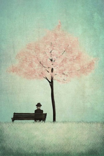 Majali - The Cherry Tree - Spring