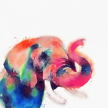 Jacqueline Maldonado - The Majestic II