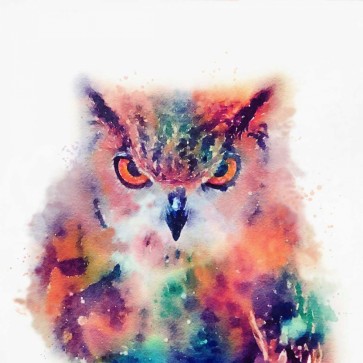 Jacqueline Maldonado - The Wise II
