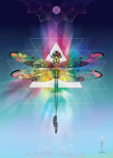 Karin Roberts - Cosmic Dragonfly