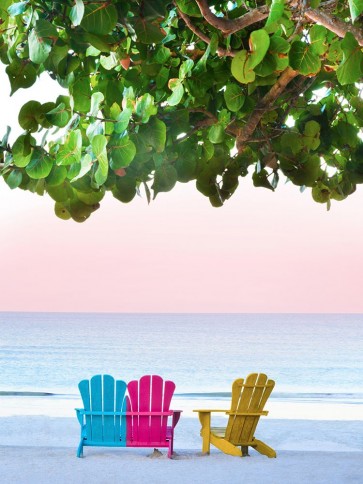 Jack Reed - Three Chairs
