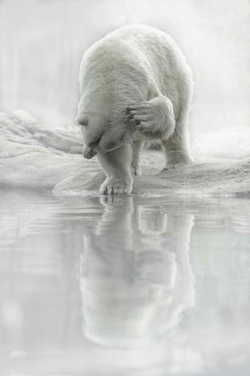 Lars Van de Goor - How Do I Look