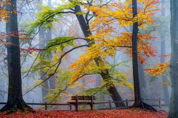 Lars Van de Goor - Take A Seat And Enjoy
