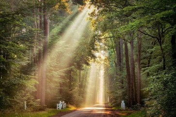 Lars Van de Goor - This Beam is Booming