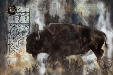 Marta Wiley - Buffalo