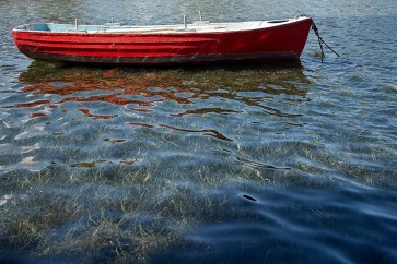 Red Boat - White, Lynda
