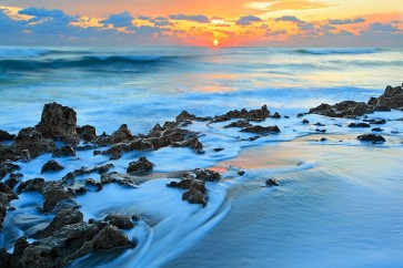 Patrick Zephyr - Painted Ocean