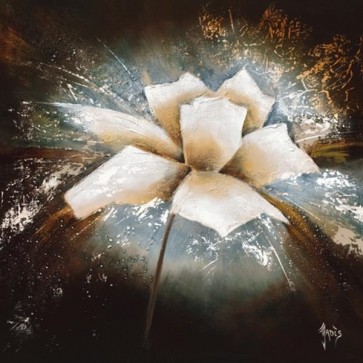 Jadis - Fleur D'etoile I  