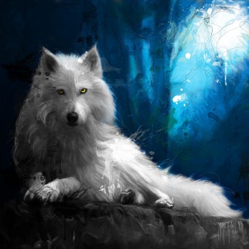 Patrice Murciano - Animals - Wolf - Cheyenne