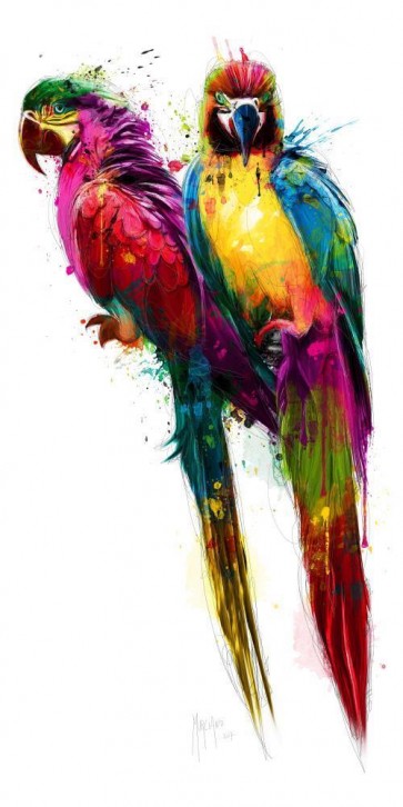 Patrice Murciano - Animals - Parrots - Tropical Colors (Perroquets)