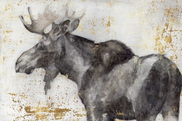 Beverley Hawksley - Alces Trail II