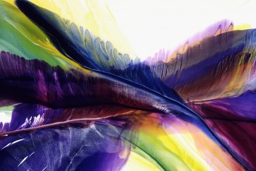 Bette Ridgeway - Primordial Place