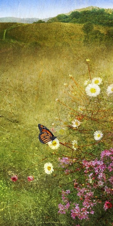 Chris Vest - In the Meadow I
