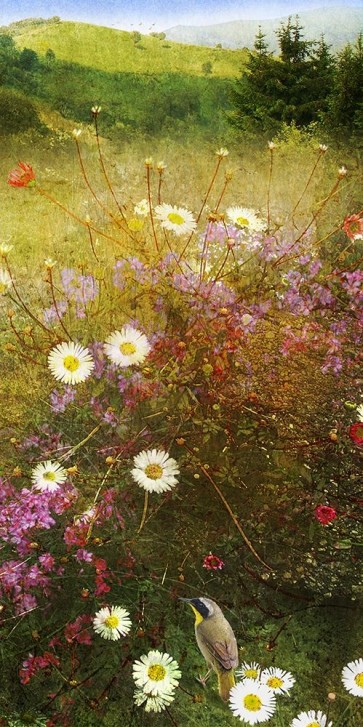 Chris Vest - In the Meadow II