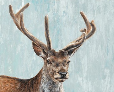 Dina Perejogina - Reindeer 
