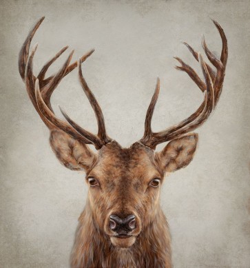Dina Perejogina - Stag Presence