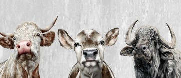 Dina Perejogina - Animal Friends II