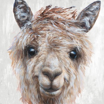 Dina Perejogina - Alpaca II