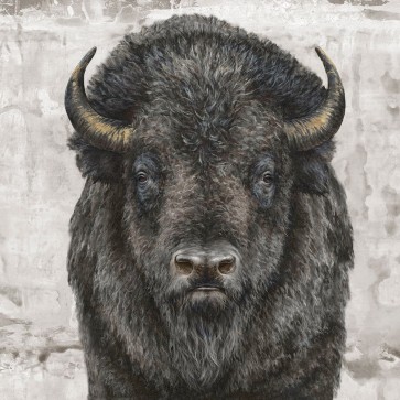 Dina Perejogina - Bison Presence 