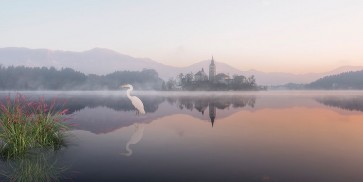Richard Desmarais - Egret Lake