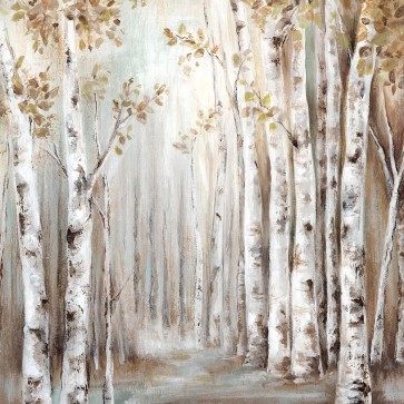 Eva Watts - Sunset Birch Forest III 
