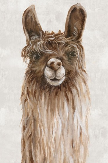 Eva Watts - Suri Alpaca I 