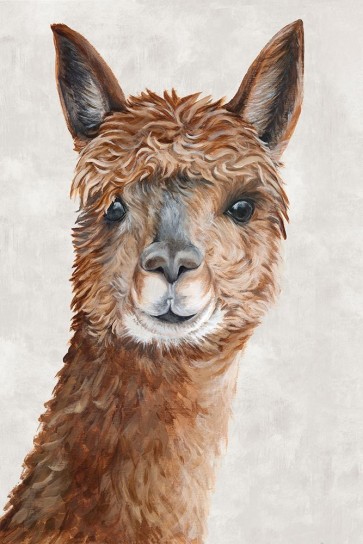 Eva Watts - Suri Alpaca II 