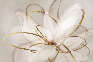 Eva Watts - Transparent Beauty III 