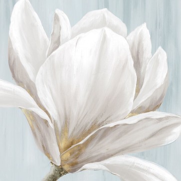 Eva Watts - Soft White I 